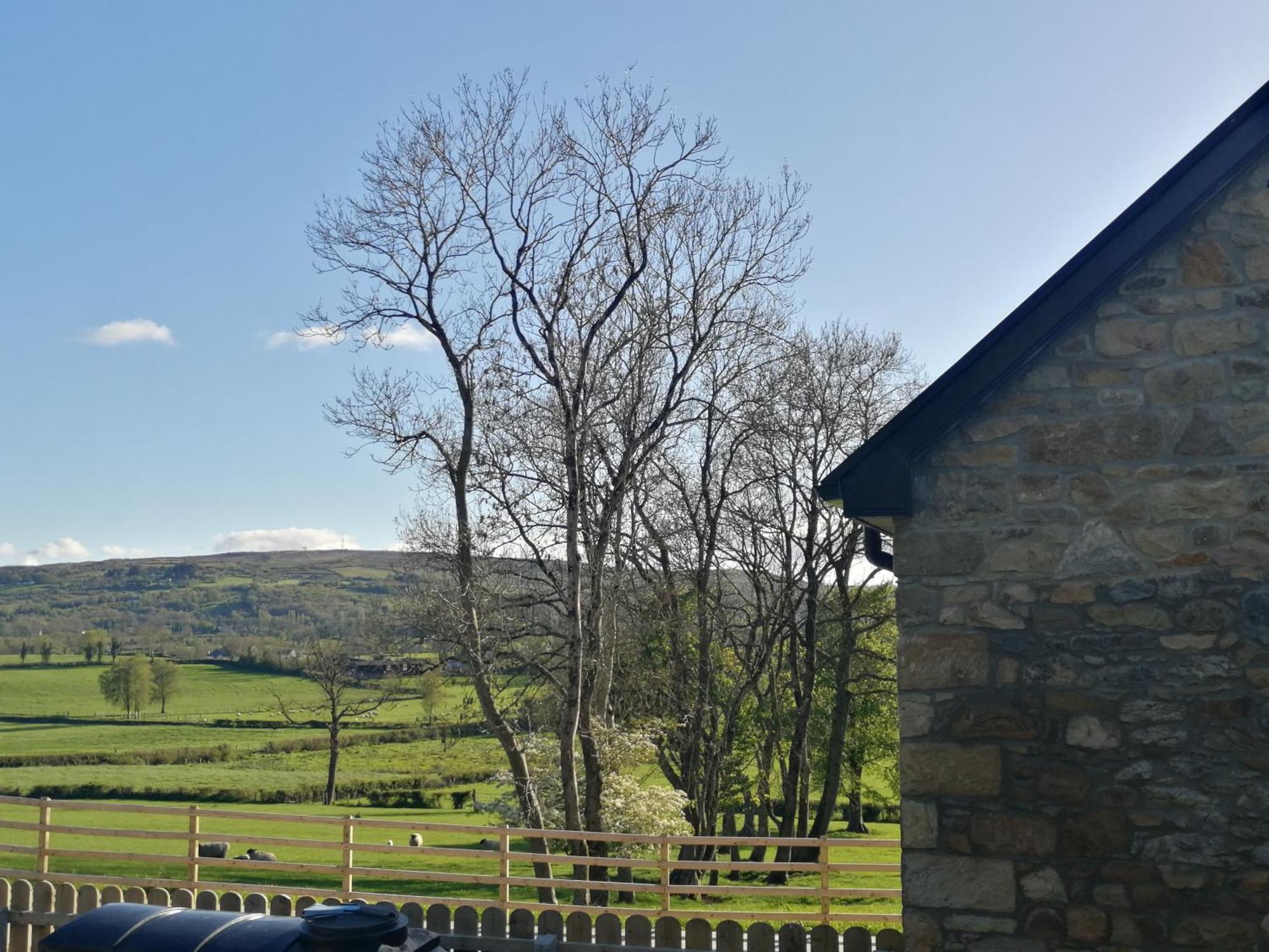 Knockninny Barn At Upper Lough Erne, County Fermanagh Enniskillen Buitenkant foto