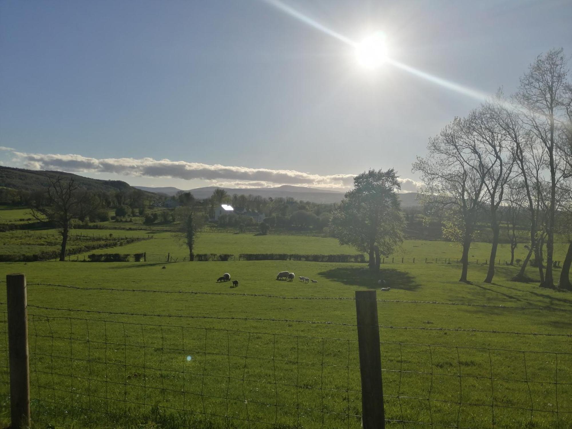 Knockninny Barn At Upper Lough Erne, County Fermanagh Enniskillen Buitenkant foto