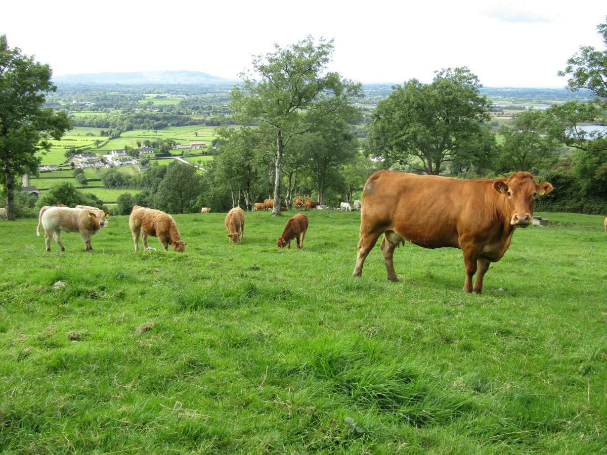 Knockninny Barn At Upper Lough Erne, County Fermanagh Enniskillen Buitenkant foto